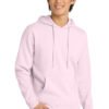 District ®  V.I.T.  Fleece Hoodie DT6100 - Image 38