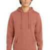 District ®  V.I.T.  Fleece Hoodie DT6100 - Image 28