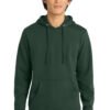 District ®  V.I.T.  Fleece Hoodie DT6100 - Image 6