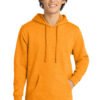 District ®  V.I.T.  Fleece Hoodie DT6100 - Image 33