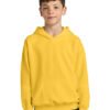 Gildan ®  Youth Softstyle ®  Midweight Fleece Hoodie SF500B - Image 14